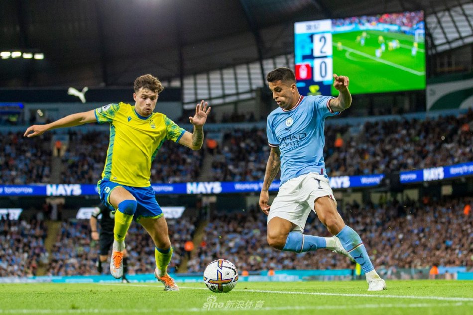 举动而葬送 举动而葬送